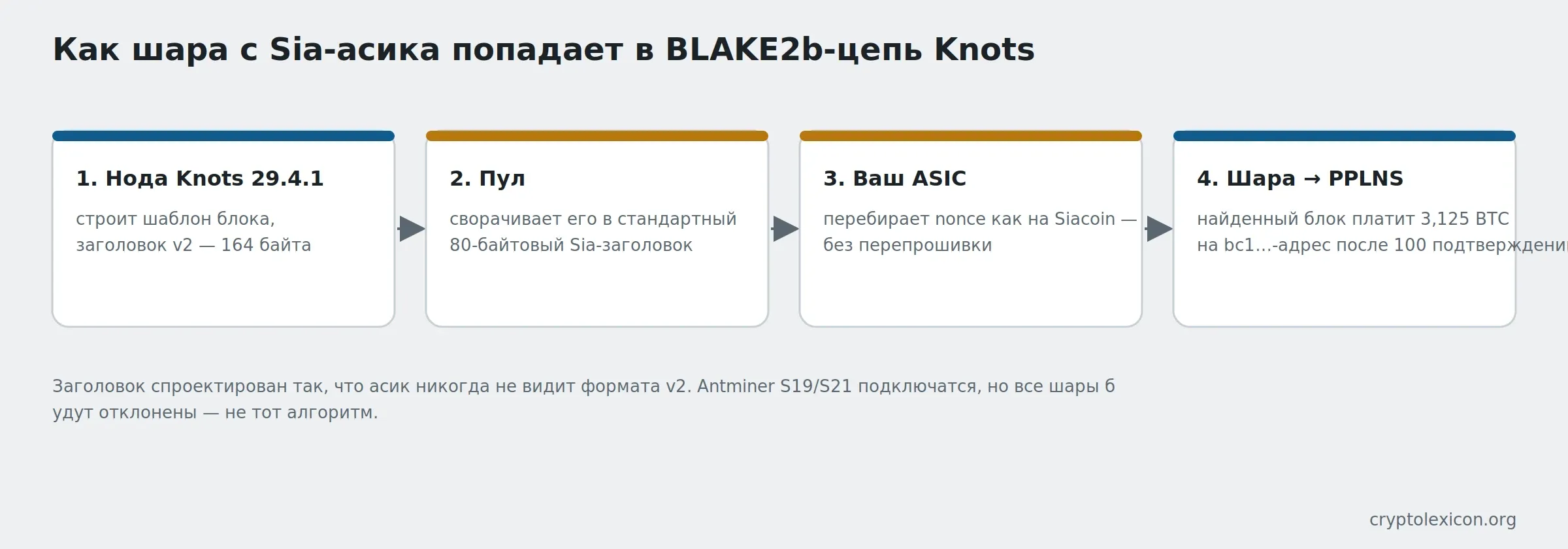 Как шара с Sia-асика попадает в BLAKE2b-цепь