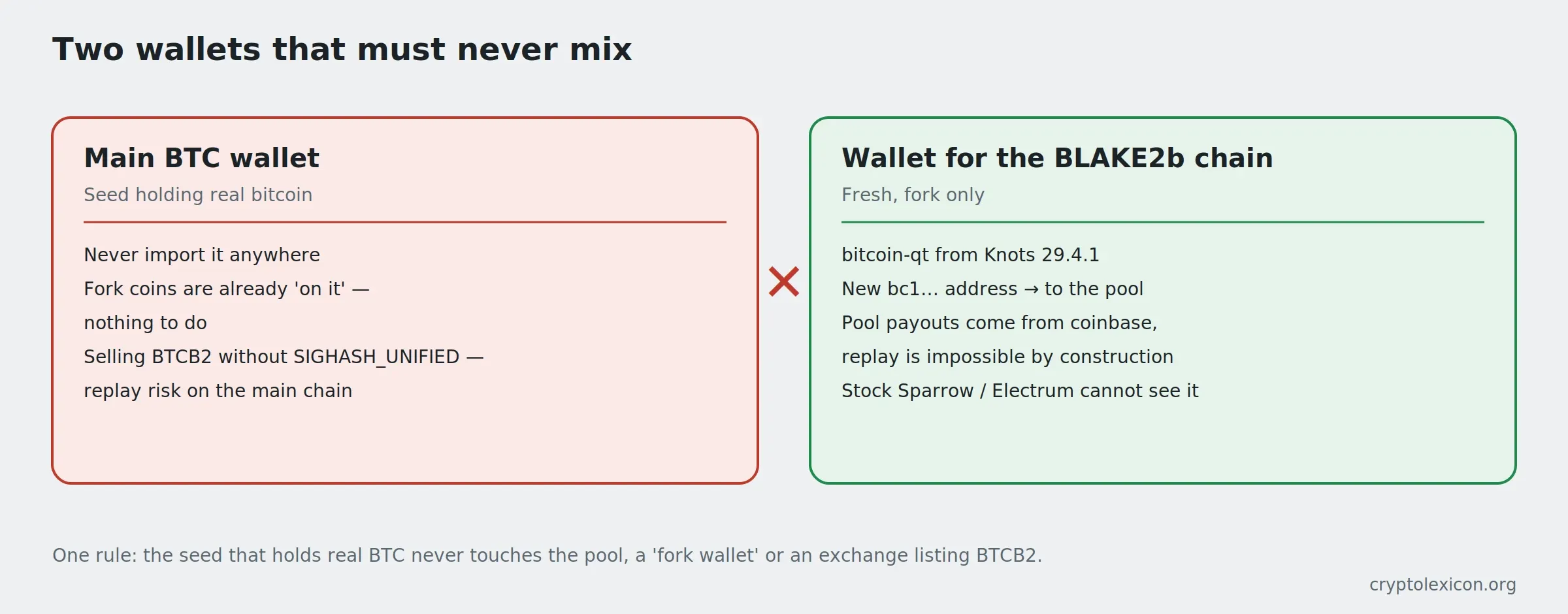 Your main BTC wallet and a fork wallet must never share a seed