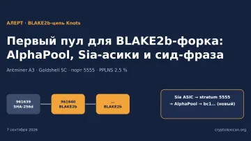 BLAKE2b-цепь Knots: что стало с первым пулом и почему сид ради BTCB2 не импортируют